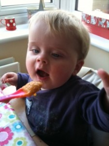 baby weaning puree recipes