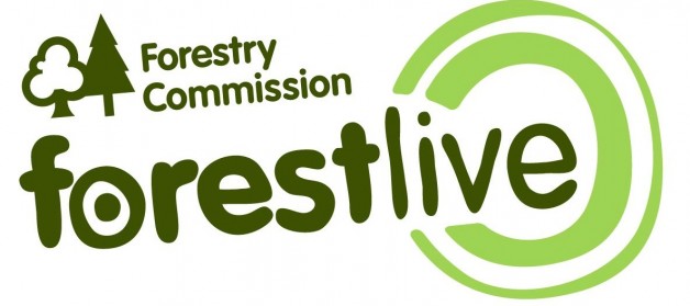 Each summer, The Forestry commission host a series of special concerts in seven fabulous forest venues throughout England.
